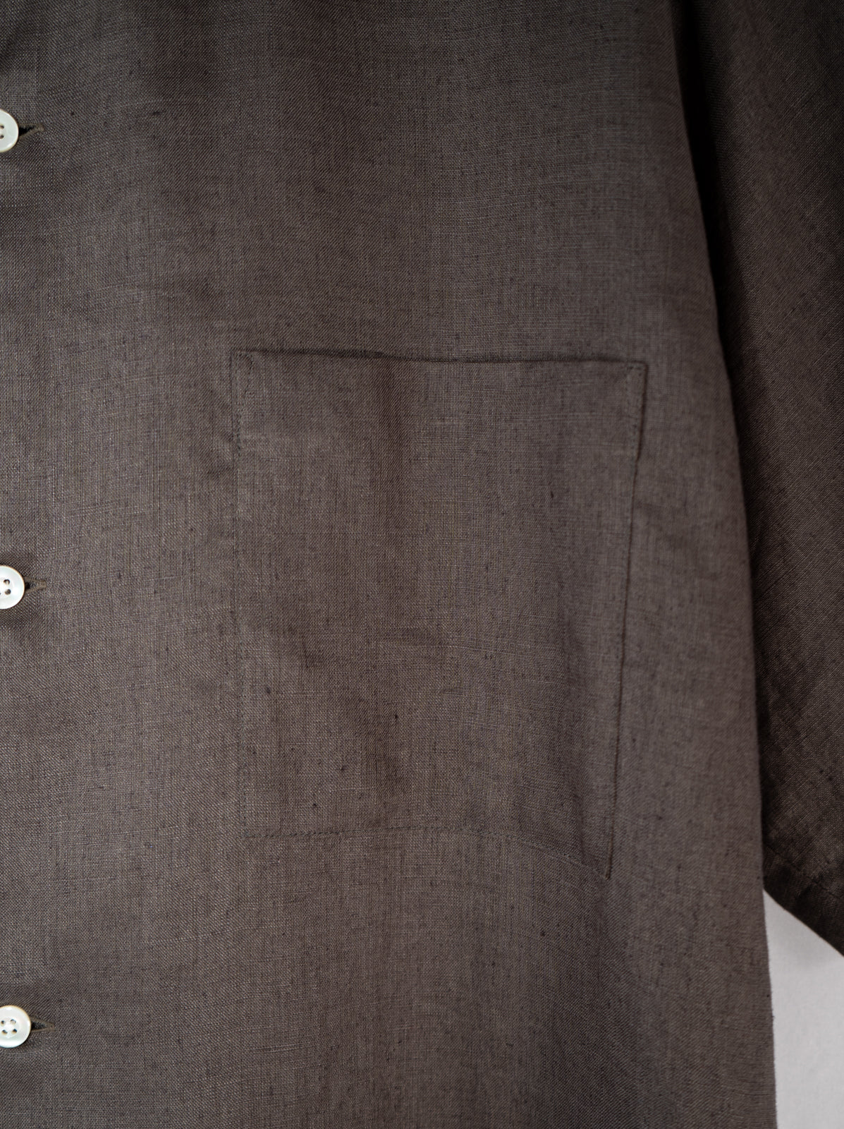 隠れイシガキトカゲ かりゆしシャツ | majun plus