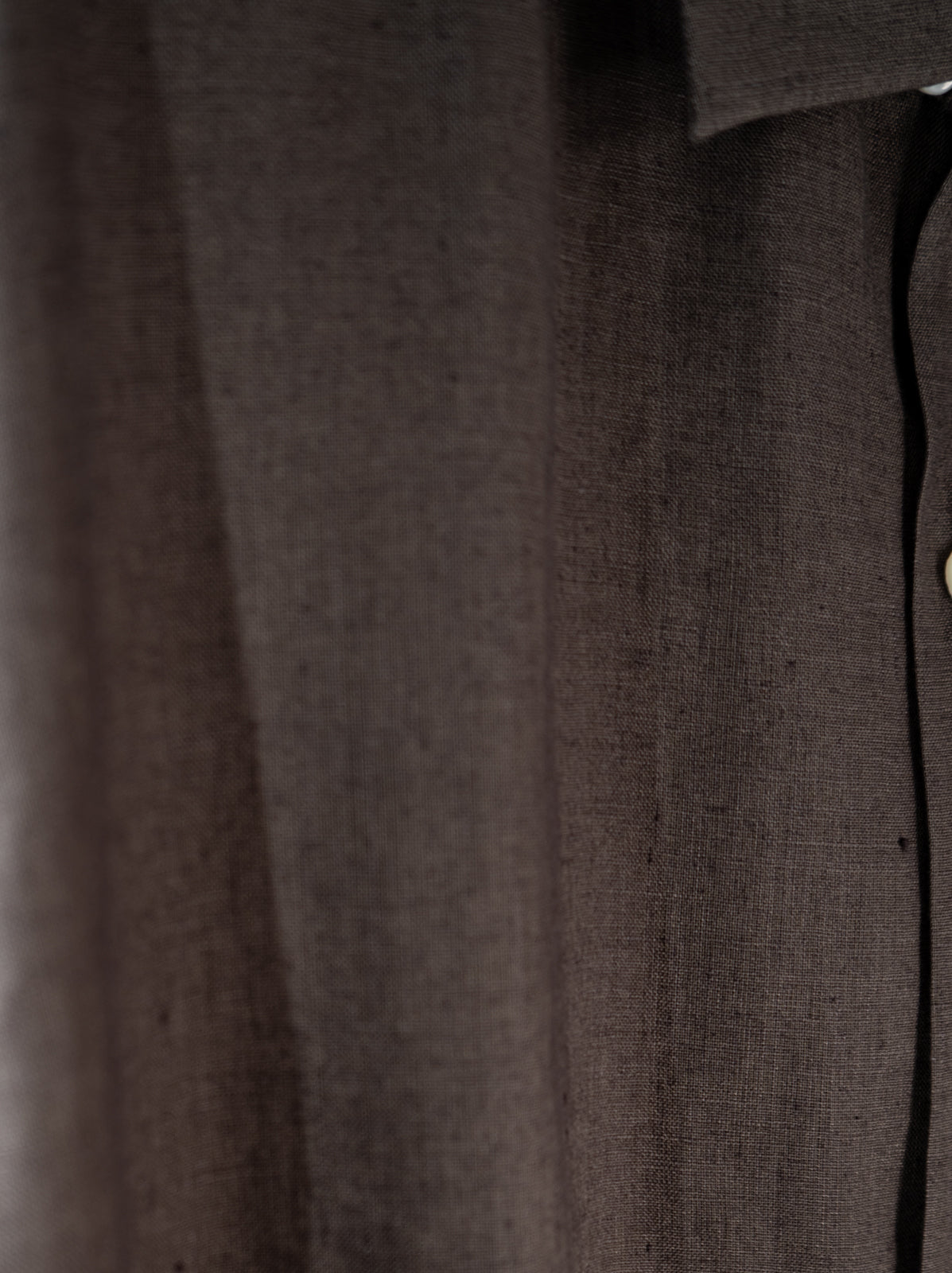 隠れイシガキトカゲ かりゆしシャツ | majun plus