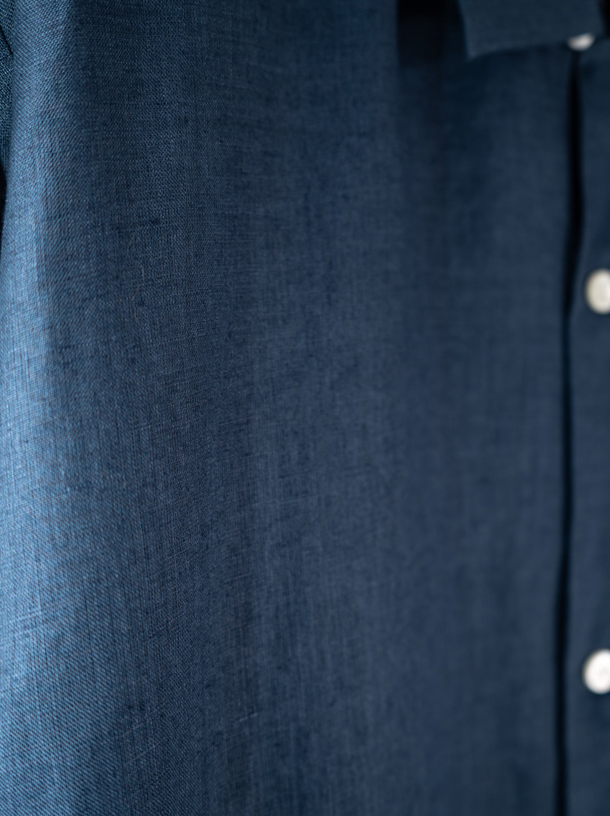 隠れイシガキトカゲ かりゆしシャツ | majun plus