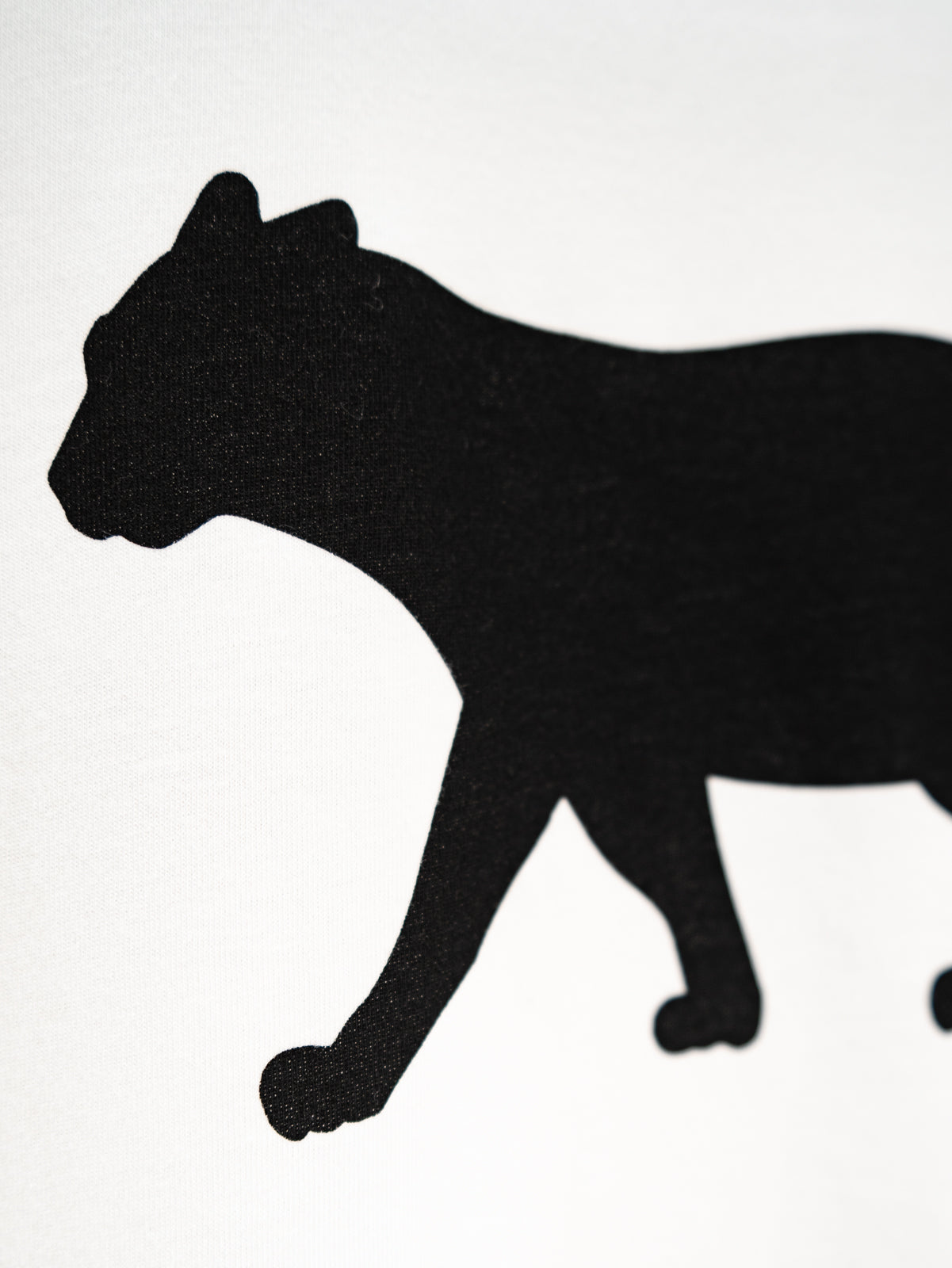 イリオモテヤマネコプリントTシャツ(ホワイト) | majun plus